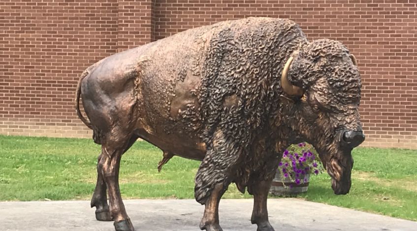 Show your School Spirit with a Life-Size Bronze Statue of your School’s Mascot