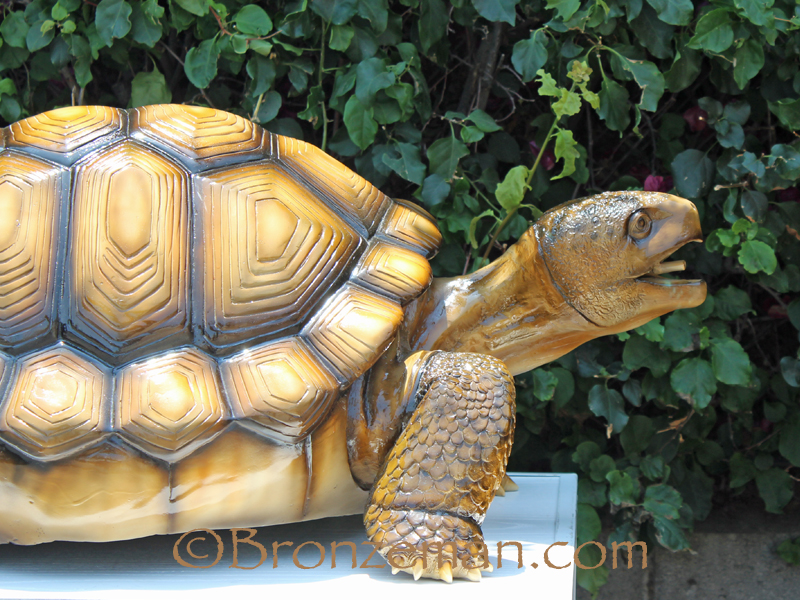 bronze tortoise statue