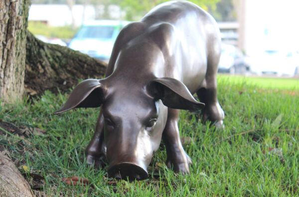 bronze pig statue