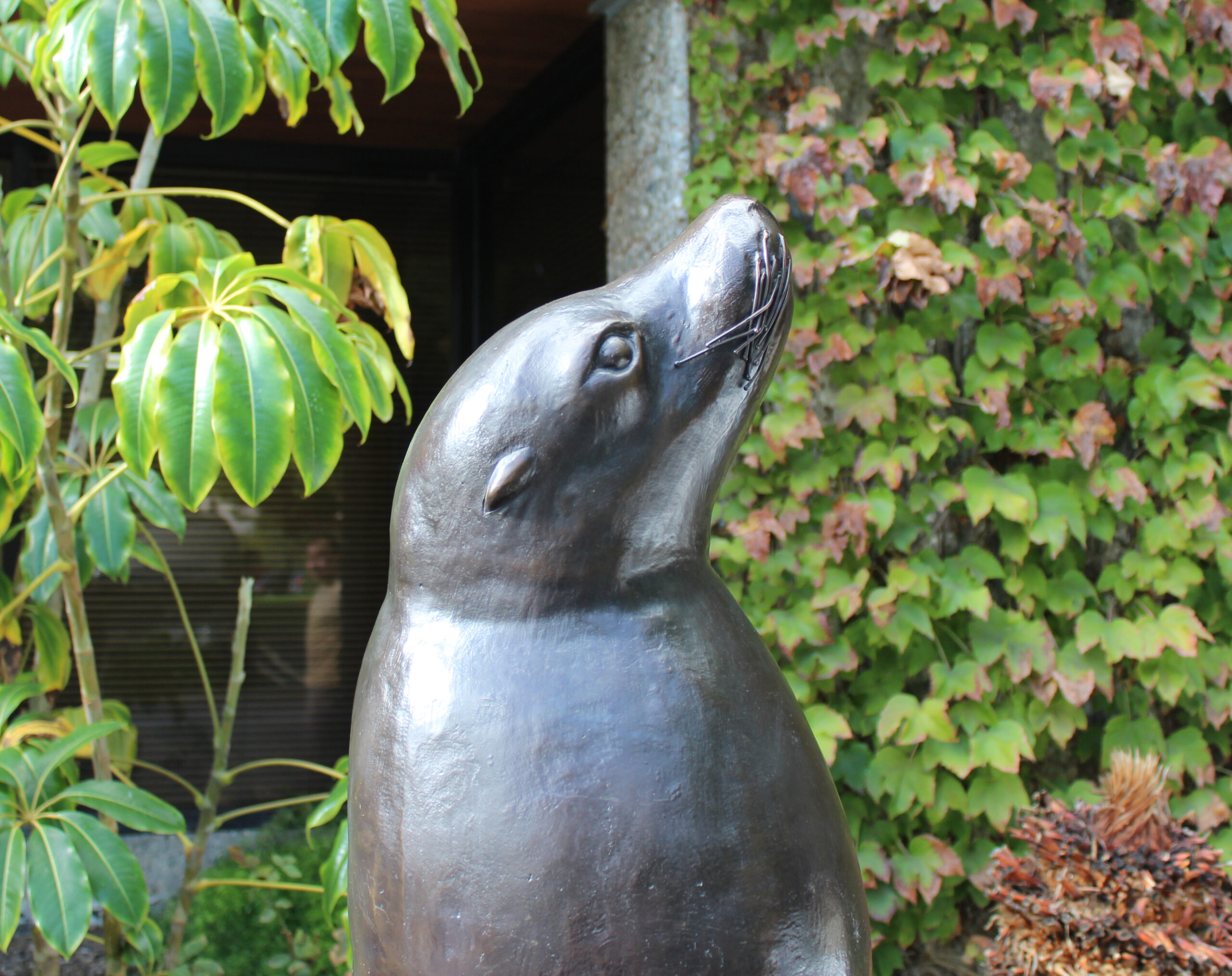 bronze sea lion statue