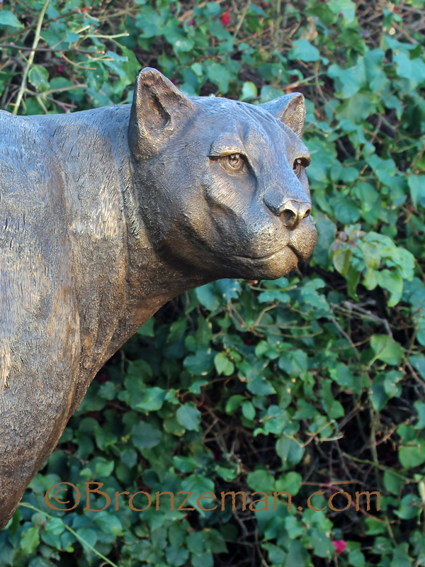 bronze cougar statue