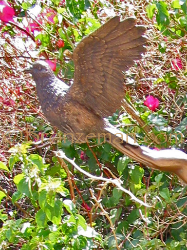 bronze statue of a boy releasing a bird