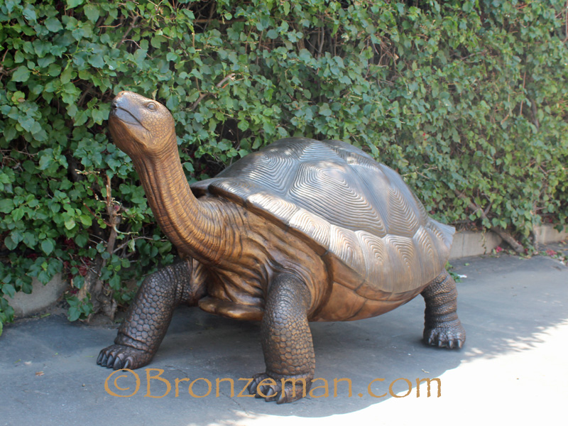 bronze tortoise statue