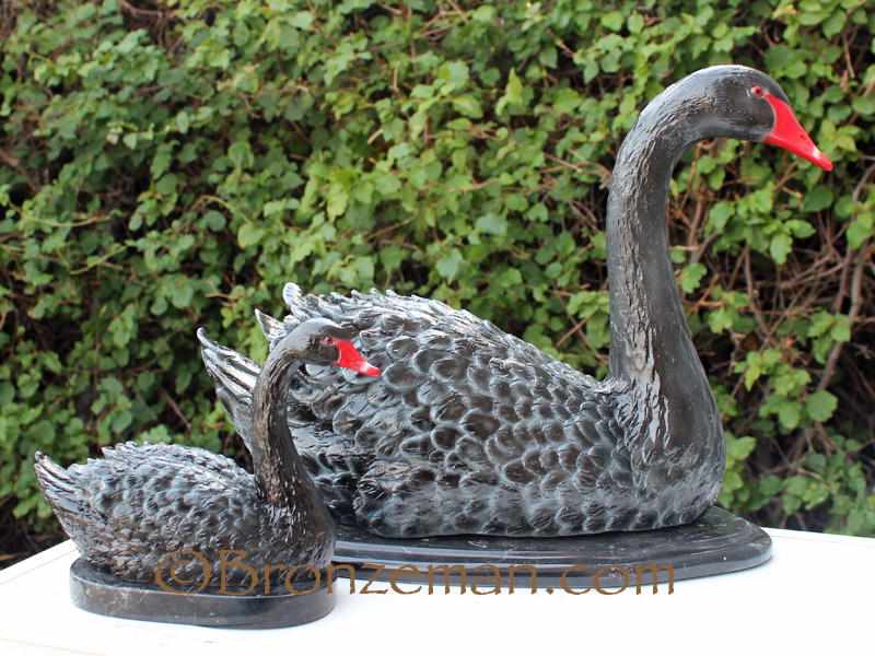bronze black swan statue