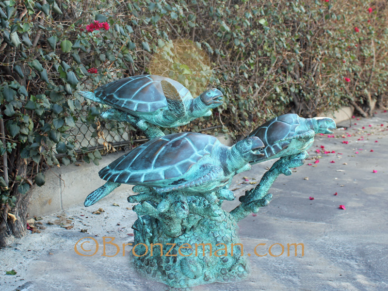 bronze sea turtles statue