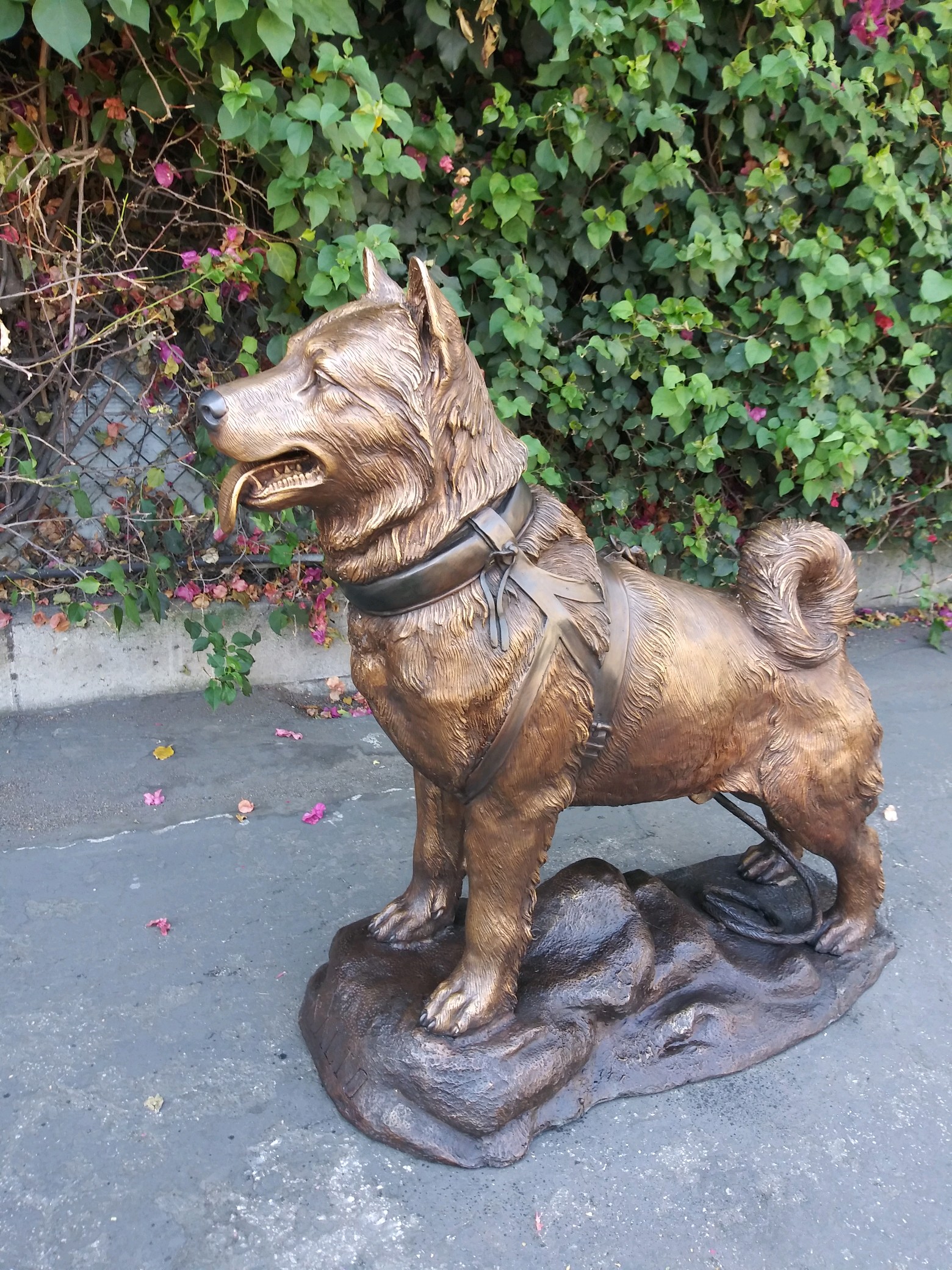 bronze husky statue