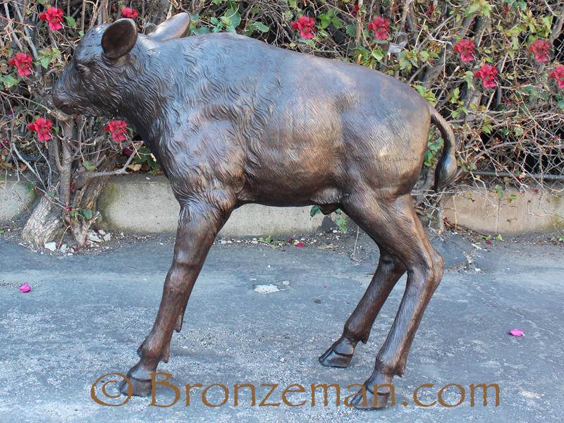 bronze bison calf