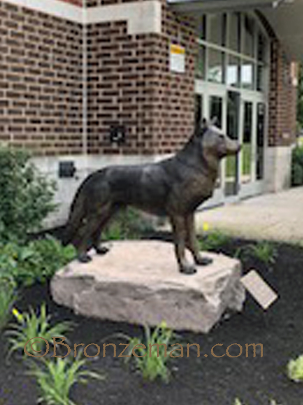 custom bronze husky statue