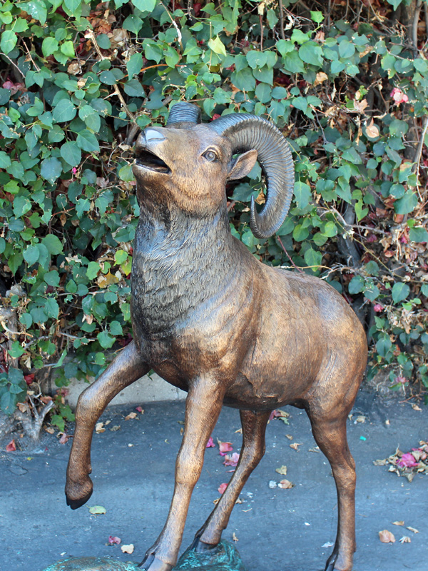 bronze big horn sheep statue