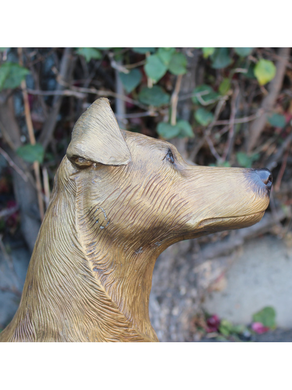 bronze dog head tilted