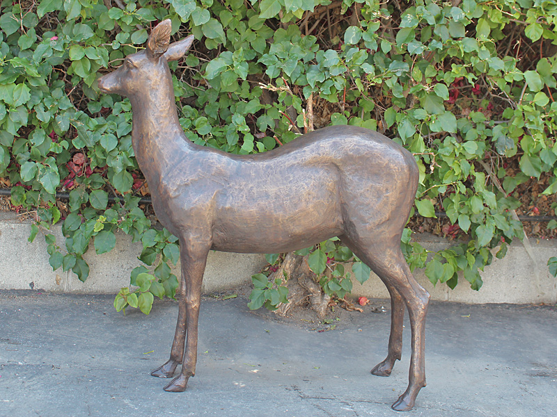 bronze fawn