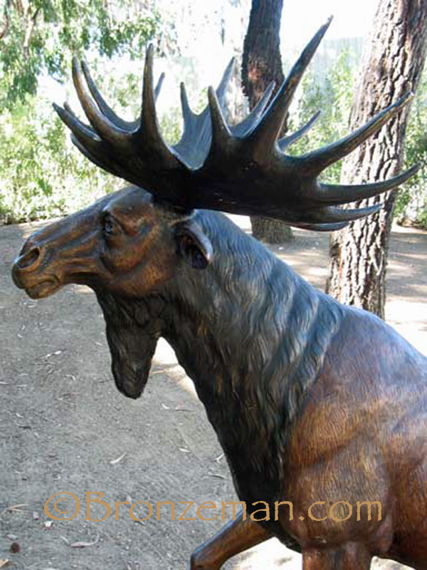 bronze bull moose