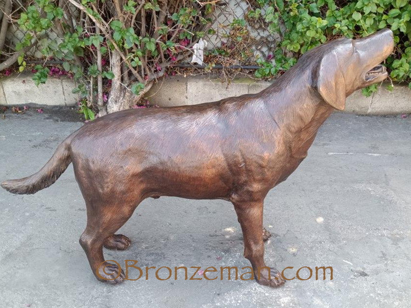 bronze lab statue