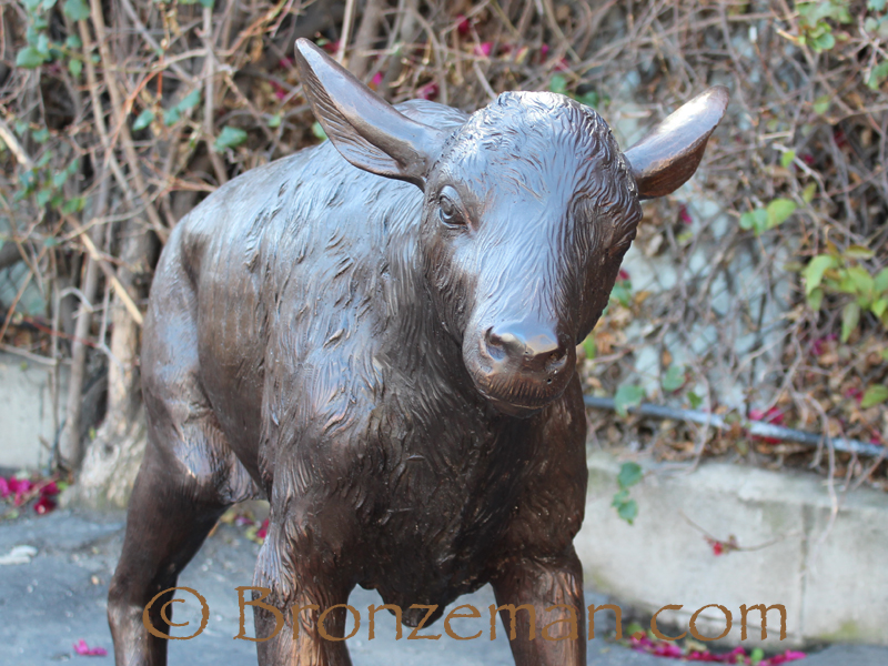 bronze bison calf