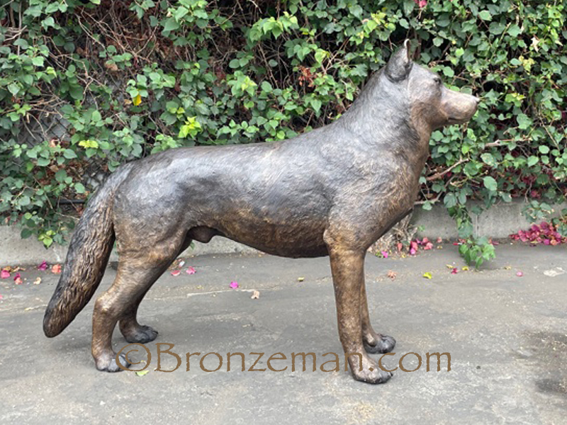 custom bronze husky statue