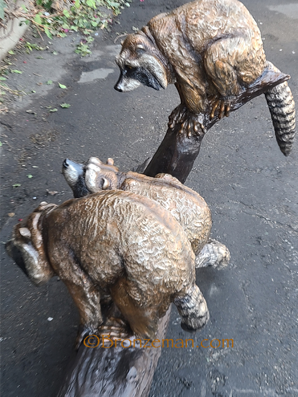 bronze raccoons statue